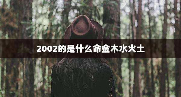 2002的是什么命金木水火土
