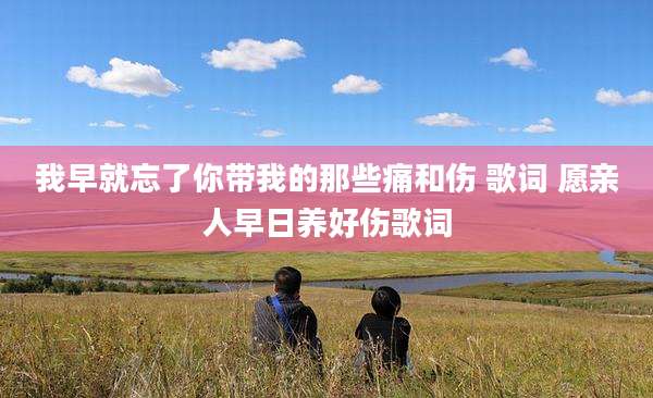 我早就忘了你带我的那些痛和伤 歌词 愿亲人早日养好伤歌词