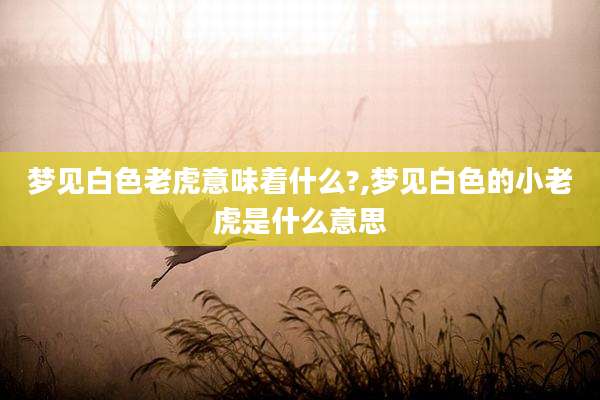 梦见白色老虎意味着什么?,梦见白色的小老虎是什么意思
