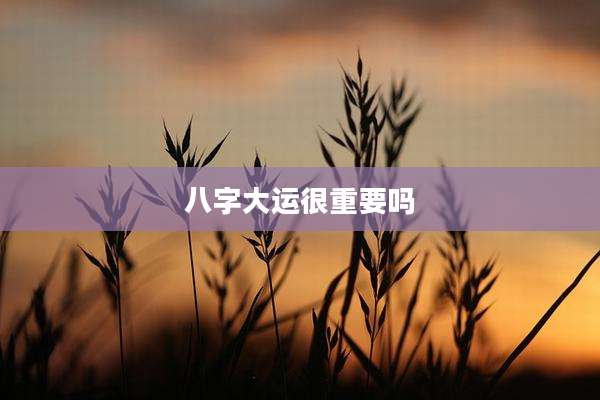 八字大运很重要吗