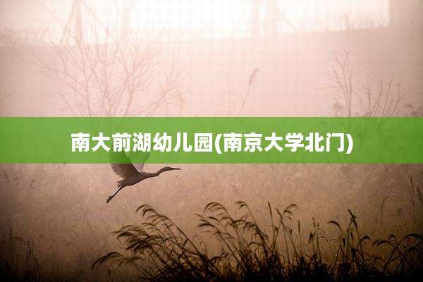 南大前湖幼儿园(南京大学北门)