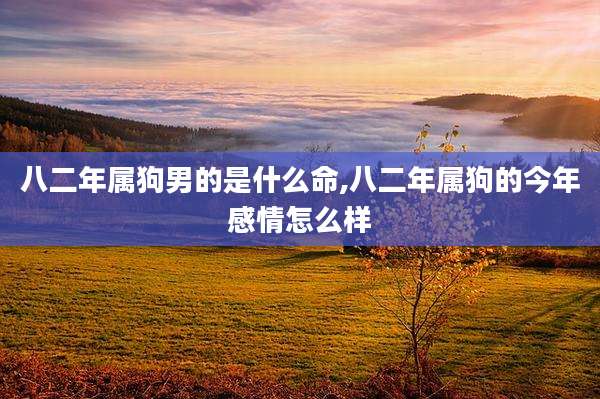 八二年属狗男的是什么命,八二年属狗的今年感情怎么样