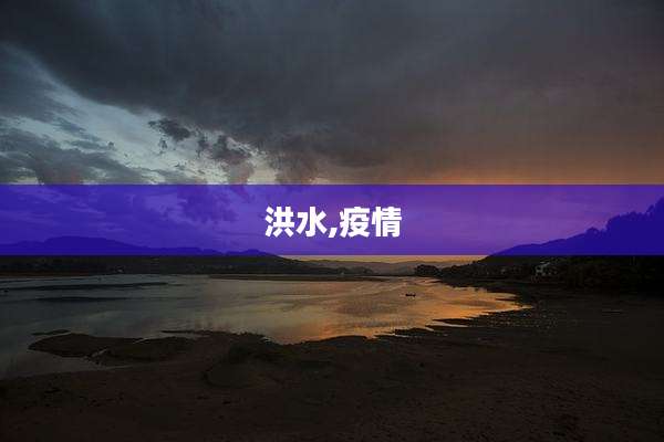 洪水,疫情