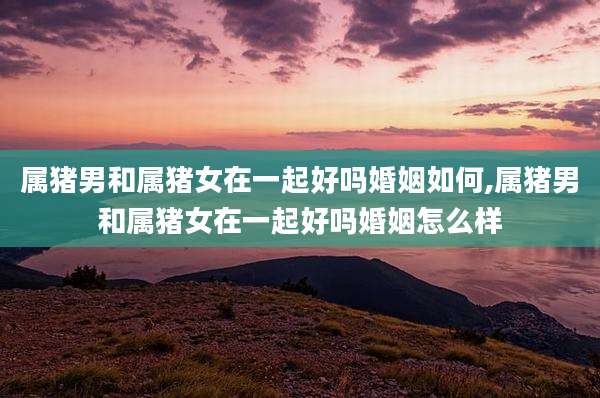 属猪男和属猪女在一起好吗婚姻如何,属猪男和属猪女在一起好吗婚姻怎么样