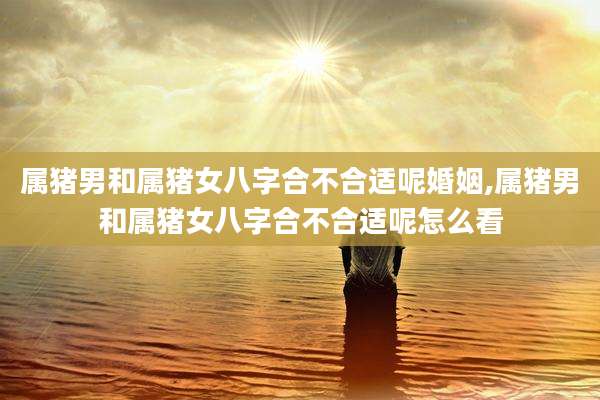 属猪男和属猪女八字合不合适呢婚姻,属猪男和属猪女八字合不合适呢怎么看