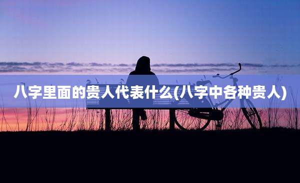 八字里面的贵人代表什么(八字中各种贵人)