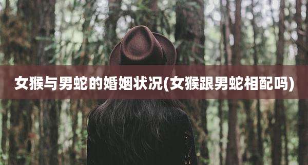 女猴与男蛇的婚姻状况(女猴跟男蛇相配吗)