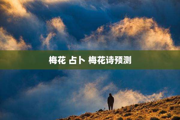 梅花 占卜 梅花诗预测