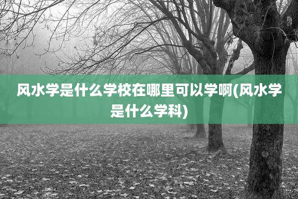 风水学是什么学校在哪里可以学啊(风水学是什么学科)