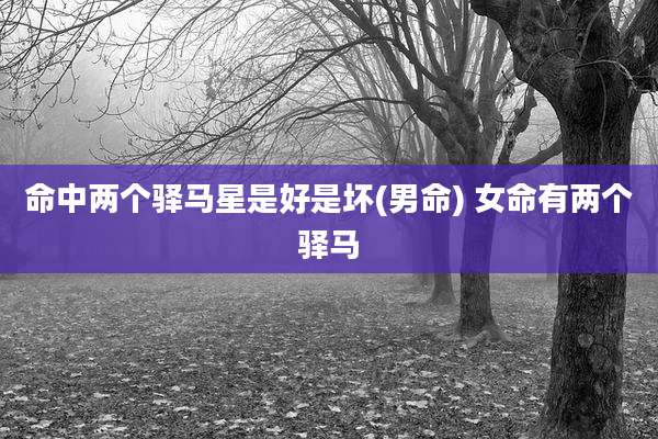 命中两个驿马星是好是坏(男命) 女命有两个驿马