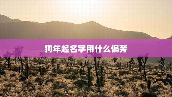 狗年起名字用什么偏旁