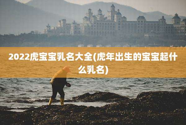 2022虎宝宝乳名大全(虎年出生的宝宝起什么乳名)