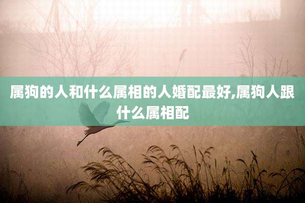 属狗的人和什么属相的人婚配最好,属狗人跟什么属相配
