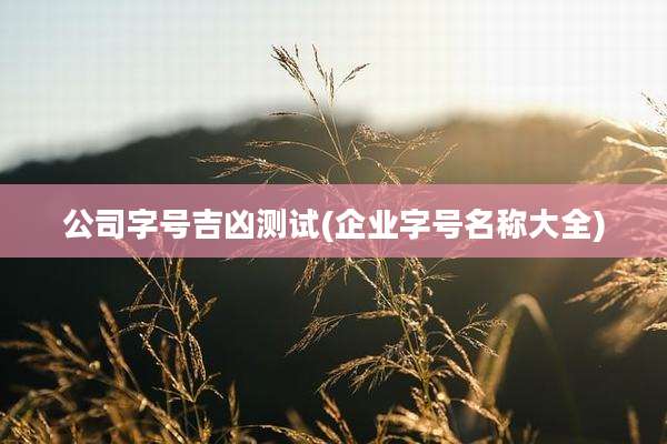 公司字号吉凶测试(企业字号名称大全)