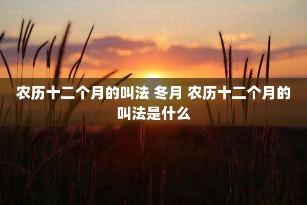 农历十二个月的叫法 冬月 农历十二个月的叫法是什么