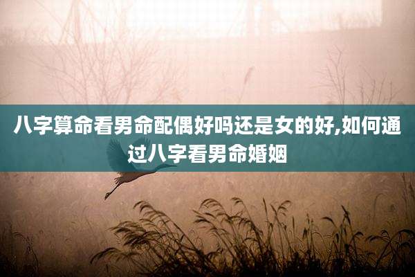 八字算命看男命配偶好吗还是女的好,如何通过八字看男命婚姻
