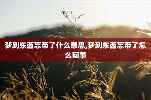 梦到东西忘带了什么意思,梦到东西忘带了怎么回事