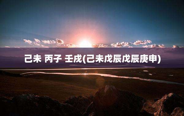 己未 丙子 壬戌(己未戊辰戊辰庚申)