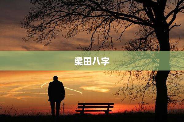 梁田八字