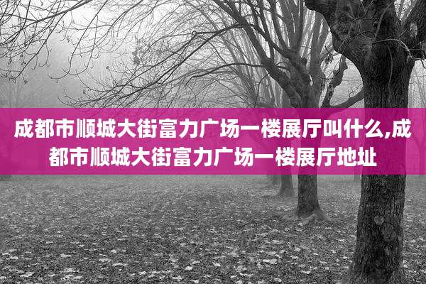 成都市顺城大街富力广场一楼展厅叫什么,成都市顺城大街富力广场一楼展厅地址