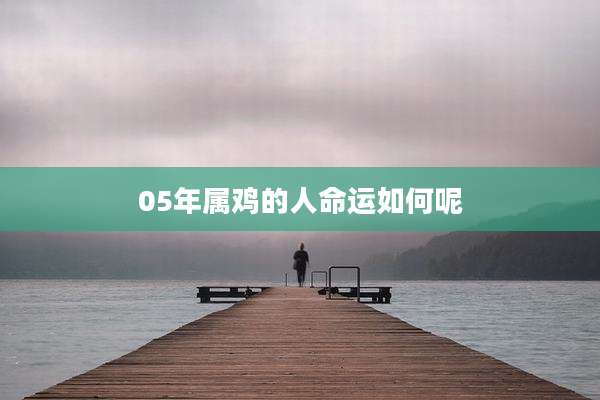05年属鸡的人命运如何呢