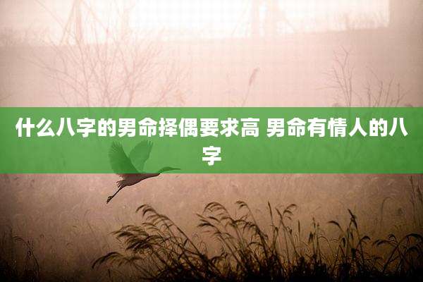 什么八字的男命择偶要求高 男命有情人的八字