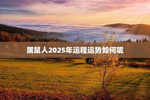 属鼠人2025年运程运势如何呢