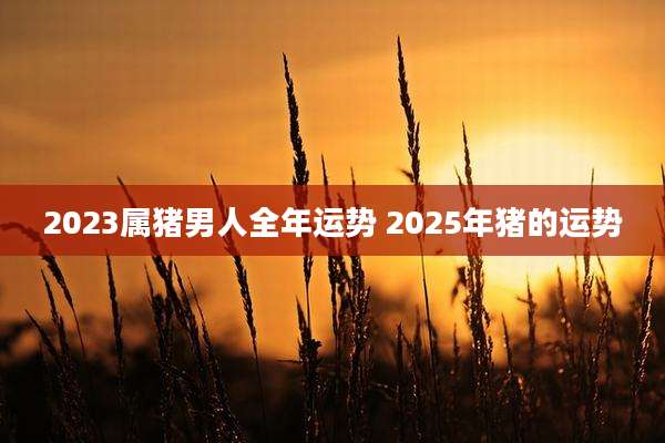 2023属猪男人全年运势 2025年猪的运势
