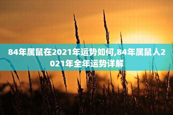 84年属鼠在2021年运势如何,84年属鼠人2021年全年运势详解