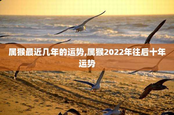 属猴最近几年的运势,属猴2022年往后十年运势