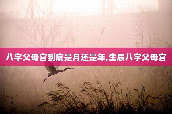 八字父母宫到底是月还是年,生辰八字父母宫