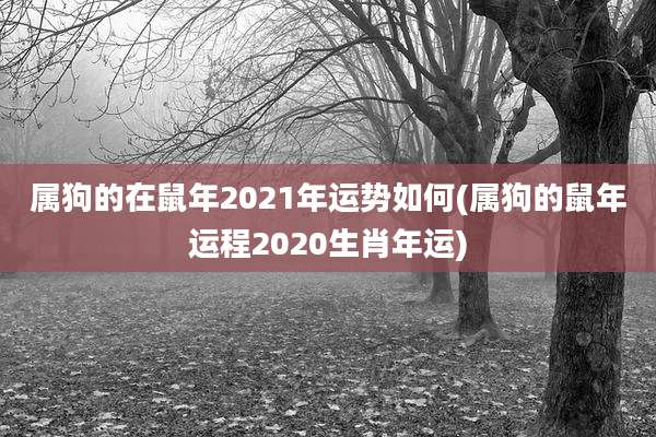 属狗的在鼠年2021年运势如何(属狗的鼠年运程2020生肖年运)