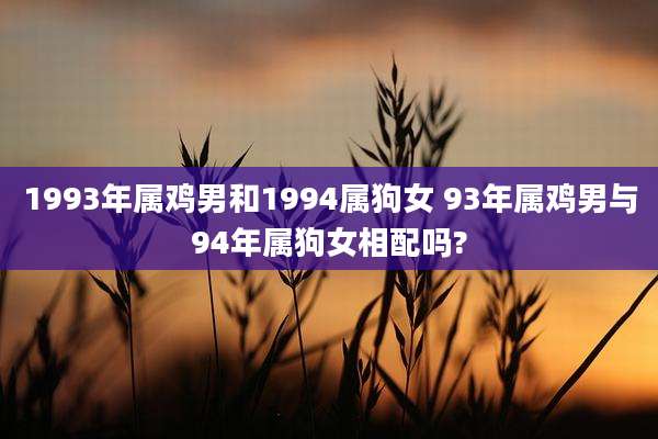1993年属鸡男和1994属狗女 93年属鸡男与94年属狗女相配吗?