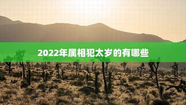 2022年属相犯太岁的有哪些