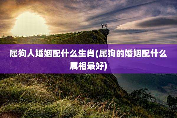 属狗人婚姻配什么生肖(属狗的婚姻配什么属相最好)