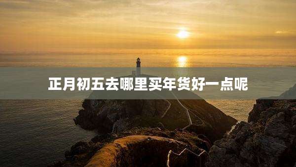 正月初五去哪里买年货好一点呢