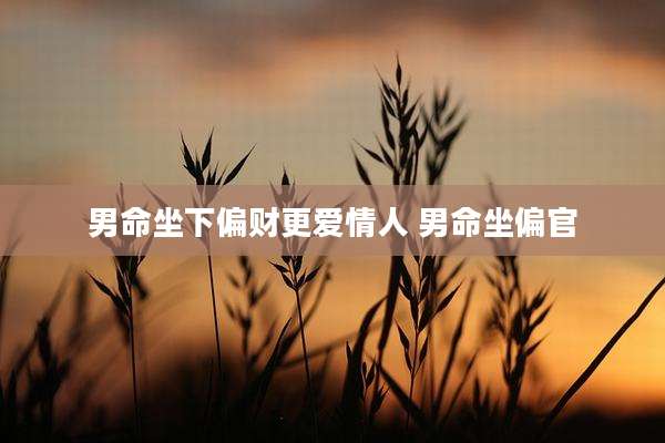 男命坐下偏财更爱情人 男命坐偏官