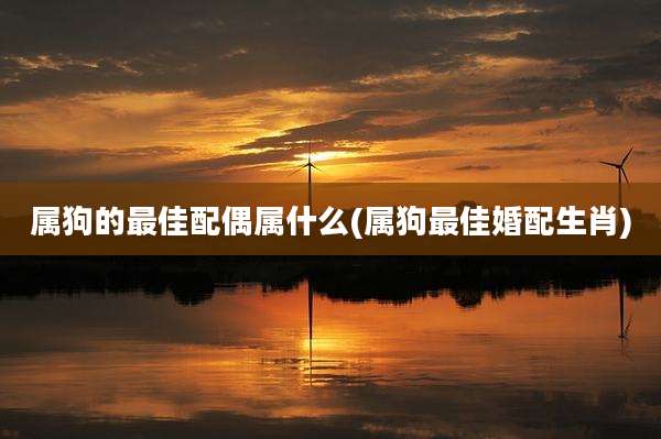 属狗的最佳配偶属什么(属狗最佳婚配生肖)