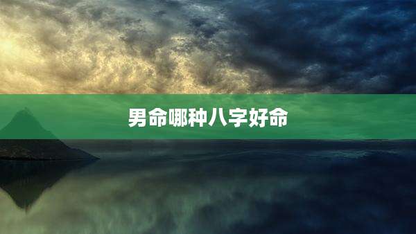 男命哪种八字好命