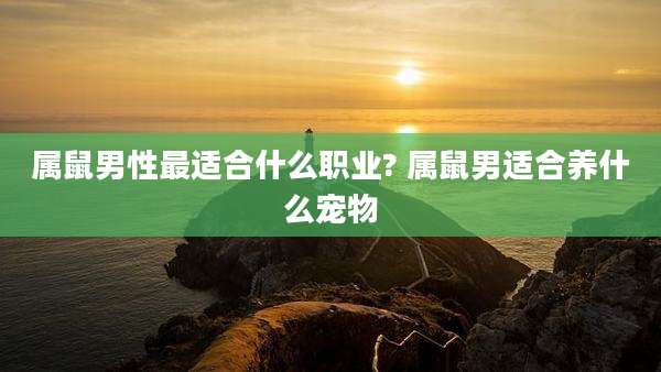 属鼠男性最适合什么职业? 属鼠男适合养什么宠物