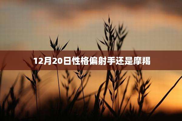 12月20日性格偏射手还是摩羯