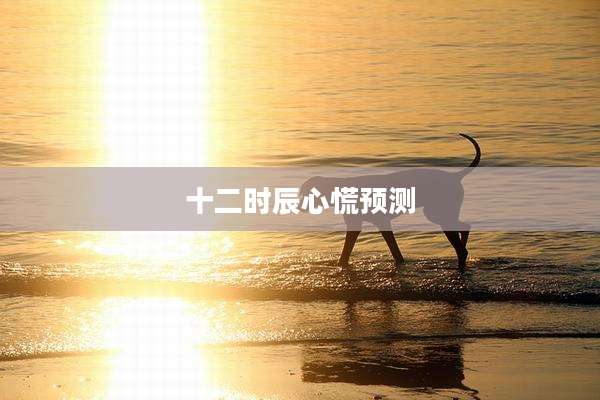十二时辰心慌预测