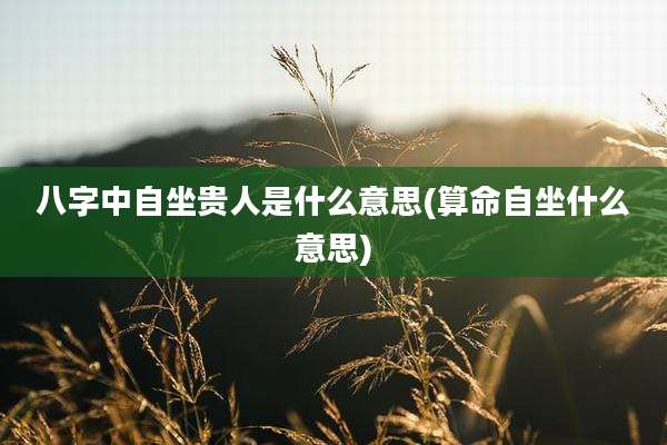 八字中自坐贵人是什么意思(算命自坐什么意思)