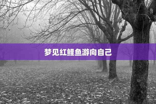 梦见红鲤鱼游向自己