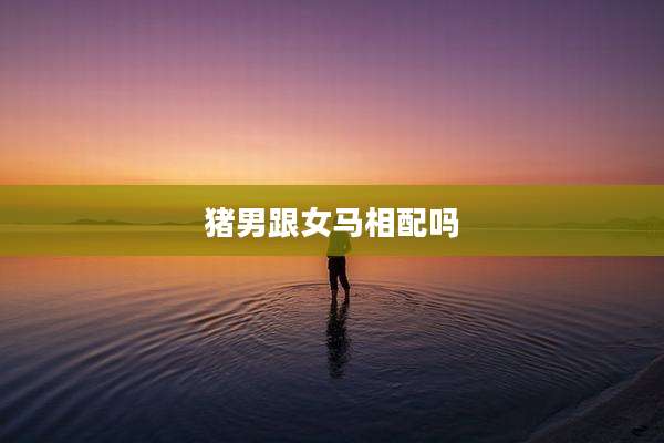猪男跟女马相配吗