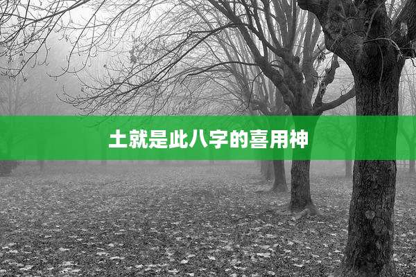 土就是此八字的喜用神