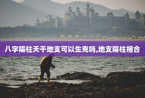 八字隔柱天干地支可以生克吗,地支隔柱相合