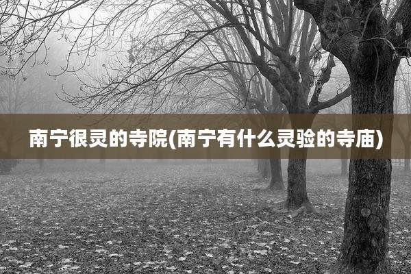 南宁很灵的寺院(南宁有什么灵验的寺庙)