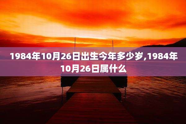 1984年10月26日出生今年多少岁,1984年10月26日属什么
