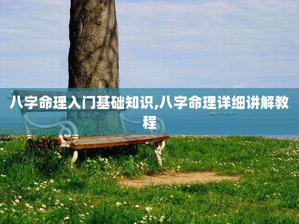 八字命理入门基础知识,八字命理详细讲解教程